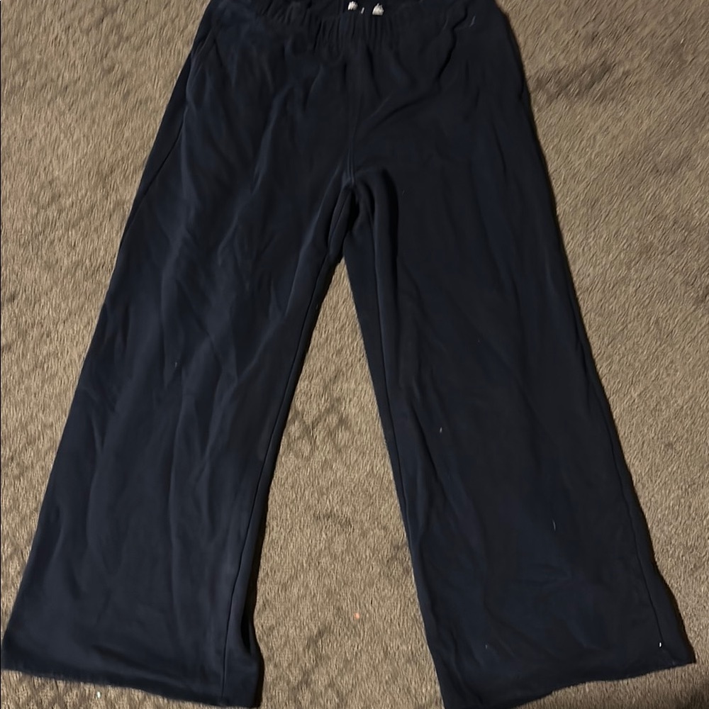Hollister Dark Navy Pants
